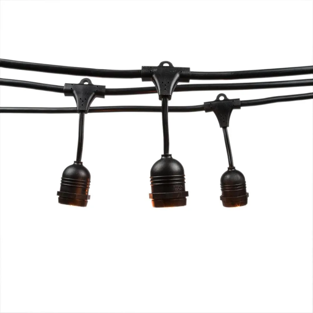 10 Suspended Socket Outdoor Commercial String Light Set, 21 FT Black Cord w/ 2-Watt Shatterproof LED Bulbs, Weatherproof SJTW