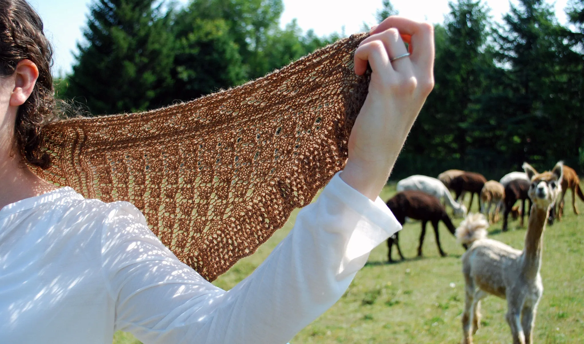 Aerie Shawlette Pattern (PDF) by Phibersmith Designs