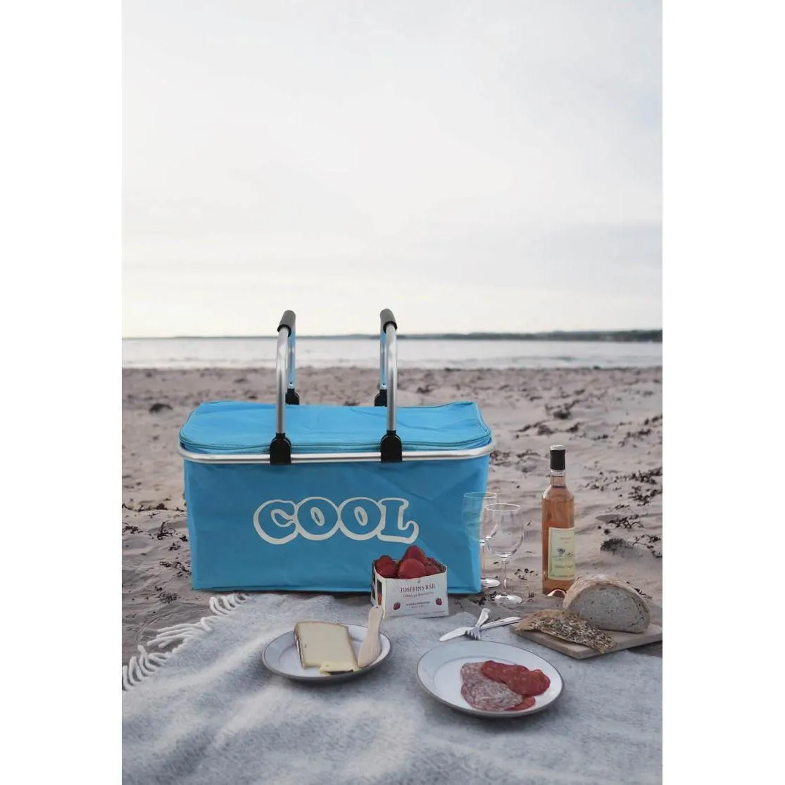 Blue Cooler Basket Bag