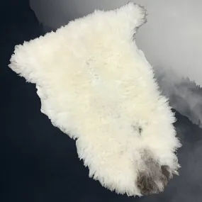 Large English Sheep Fleece \ Sheep Skin