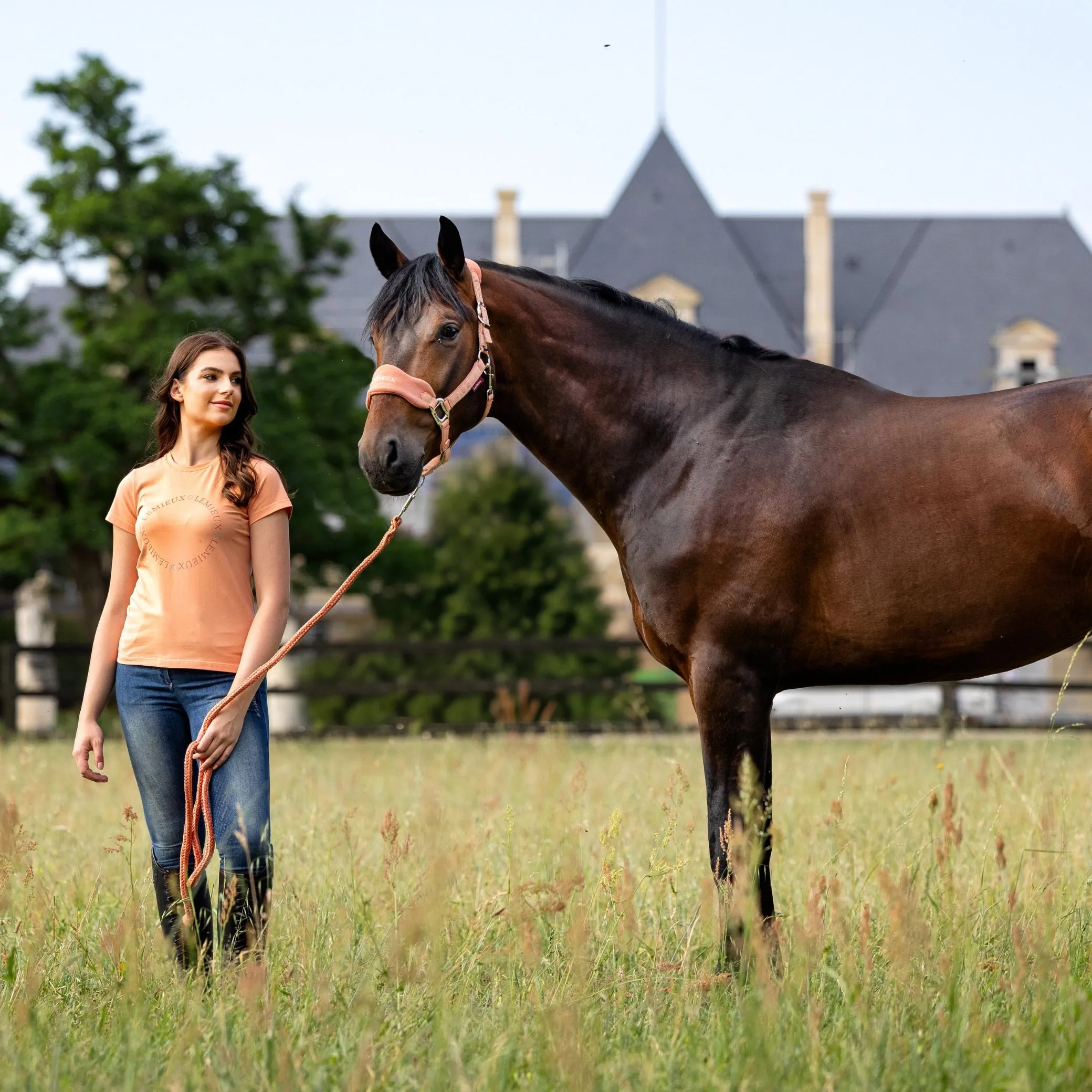 LeMieux Vogue Headcollar